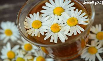 فوائد شاي البابونج العلاجية والآثار الجانبية له